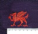 Dragon (England) (41)