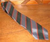 Wellington Junior School Tie