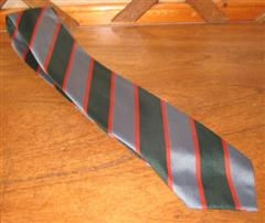 Wellington Senior School Tie