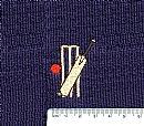 Cricket bat, ball & bales (49)