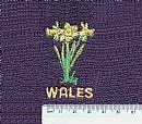 Daffodil (Wales) (134)