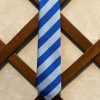 Darvel Primary School Tie