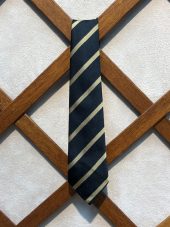 Hurlord Primary School Tie