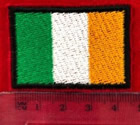 Irish Flag Wellington